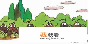 捡树叶的最佳时间? 捡树叶的最佳时间?