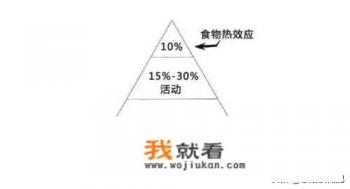 减肥，从140斤减到110斤要多久？